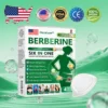 CareBreeze® 𝗕𝗲𝗿𝗯𝗲𝗿𝗶𝗻𝗲 𝟲-𝗶𝗻-𝟭 𝗡𝗮𝗻𝗼 𝗠𝗶𝗰𝗿𝗼𝗻𝗲𝗲𝗱𝗹𝗲 𝗣𝗮𝘁𝗰𝗵