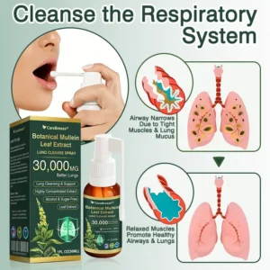 ✅US Official Store:CareBreeze® Botanical Mullein Leaf Extract Lung Cleanse Spray（👨‍⚕️Directly acts on COPD, asthma, chronic bronchitis (CB), respiratory infections, lung cancer, sinusitis, and other conditions）