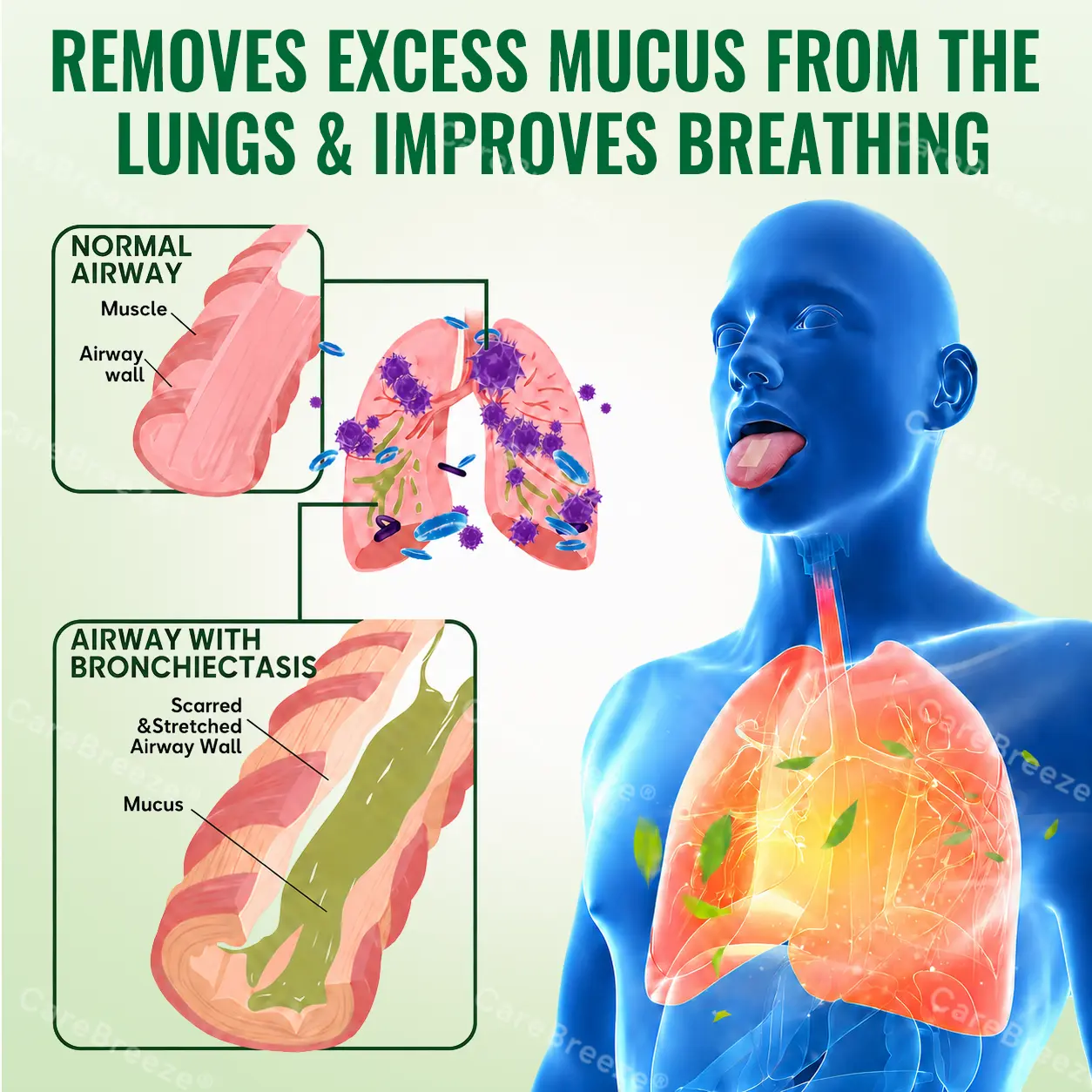 💖🇺🇸 ✅CareBreeze® Advanced Botanical Mullein Lung Cleanse Melt Strips(👨⚕️Directly acts on COPD, asthma, chronic bronchitis (CB), respiratory infections, lung cancer, sinusitis, and other conditions)