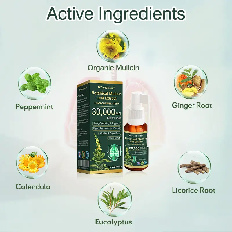 🫁🇺🇸 CareBreeze® Botanical Mullein Leaf Extract Lung Cleanse Spray(👨⚕️Directly acts on COPD, asthma, chronic bronchitis (CB), respiratory infections, lung cancer, sinusitis, and other conditions)