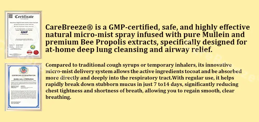 🐝🇺🇸 Official Store:CareBreeze® 6-in-1 Herbal BeePropolis Lung Cleanse Spray(👨⚕️Directly acts on COPD, asthma, chronic bronchitis (CB), respiratory infections, lung cancer, sinusitis, and other conditions🫁)